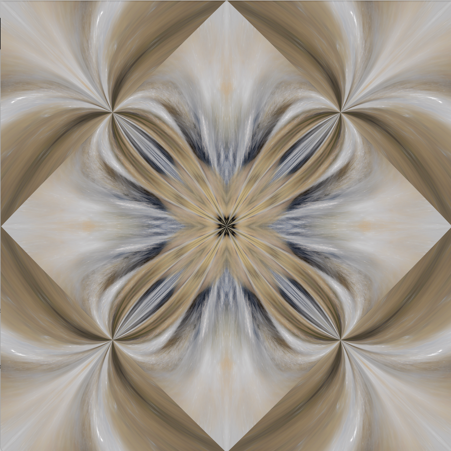 Evolution 50 Art Print